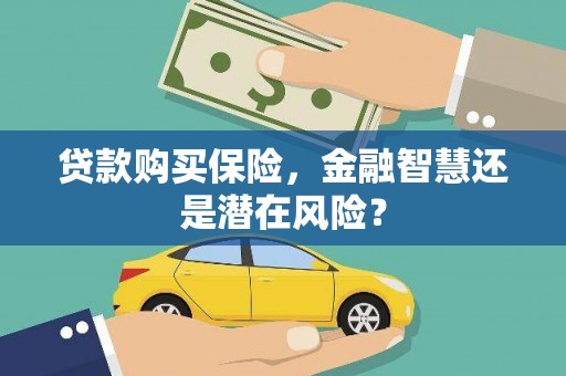 日喀则贷款购买保险，金融智慧还是潜在风险？