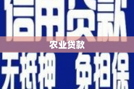 日喀则农业贷款
