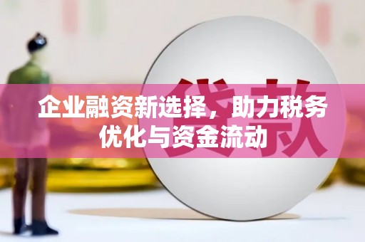 日喀则企业融资新选择，助力税务优化与资金流动