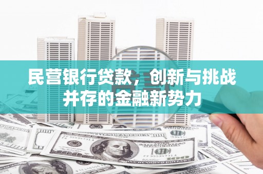 日喀则民营银行贷款，创新与挑战并存的金融新势力