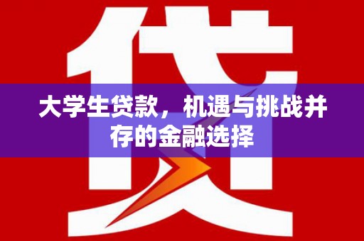 日喀则大学生贷款，机遇与挑战并存的金融选择