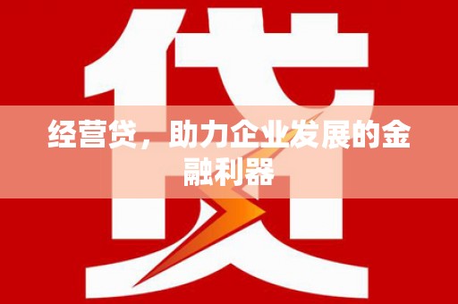 日喀则经营贷，助力企业发展的金融利器