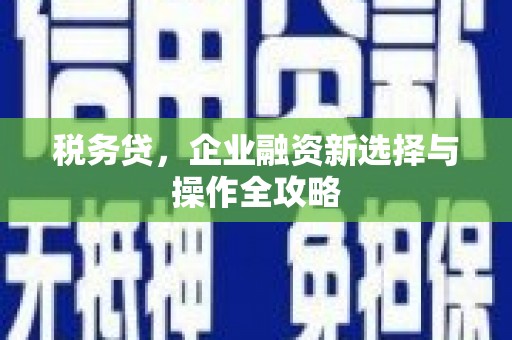 日喀则税务贷，企业融资新选择与操作全攻略