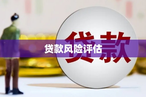 日喀则贷款风险评估