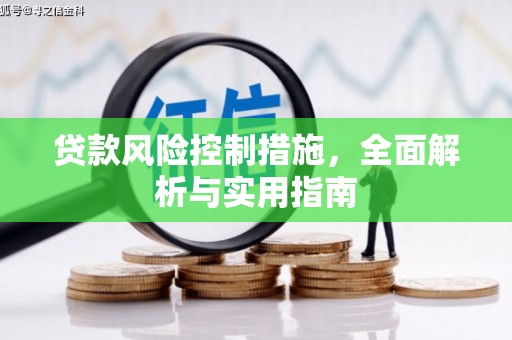 日喀则贷款风险控制措施，全面解析与实用指南