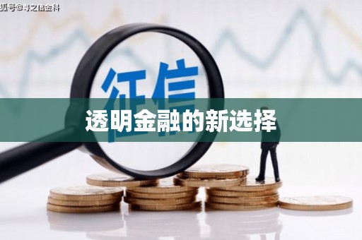日喀则透明金融的新选择