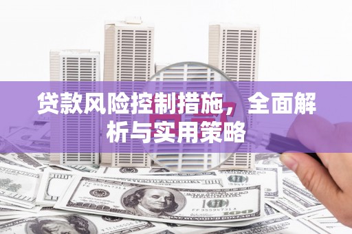 日喀则贷款风险控制措施，全面解析与实用策略