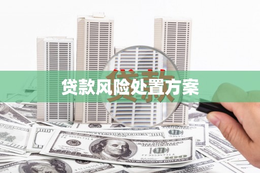 日喀则贷款风险处置方案