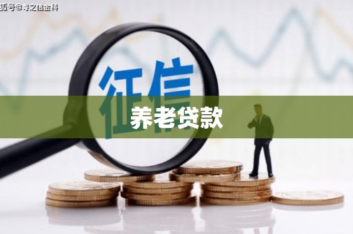 日喀则养老贷款