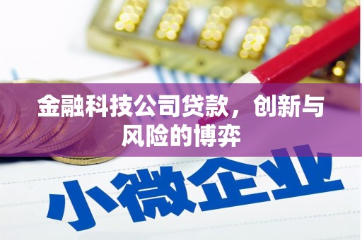 日喀则金融科技公司贷款，创新与风险的博弈