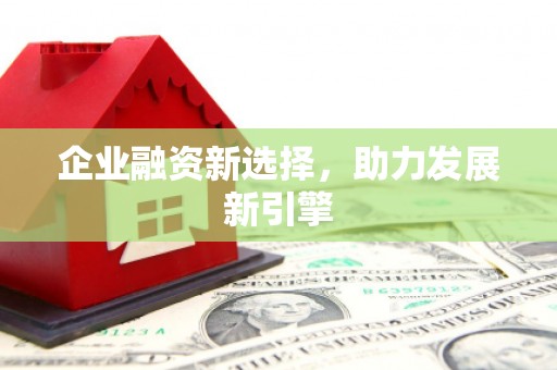 日喀则企业融资新选择，助力发展新引擎