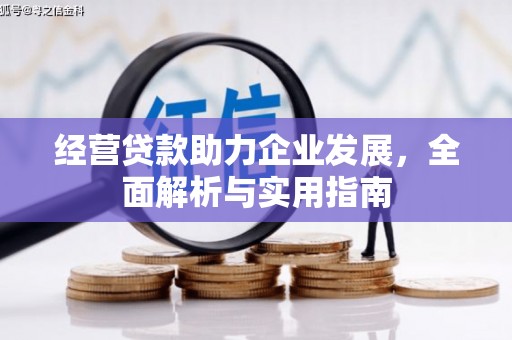 日喀则经营贷款助力企业发展，全面解析与实用指南
