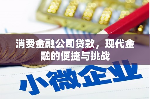 日喀则消费金融公司贷款，现代金融的便捷与挑战