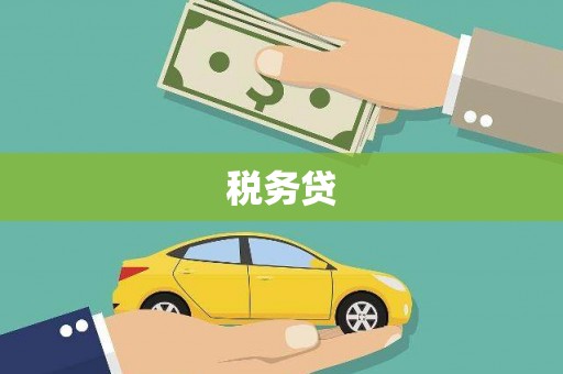日喀则税务贷