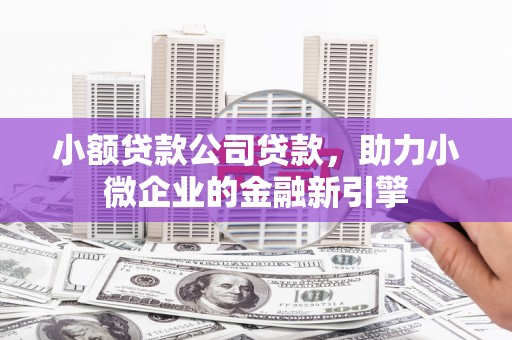 日喀则小额贷款公司贷款，助力小微企业的金融新引擎