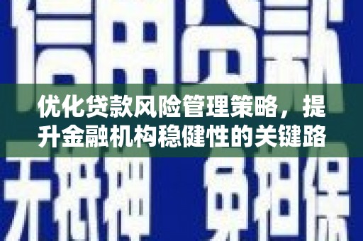 日喀则优化贷款风险管理策略，提升金融机构稳健性的关键路径