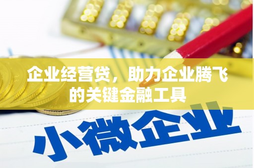 日喀则企业经营贷，助力企业腾飞的关键金融工具