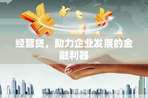 日喀则经营贷，助力企业发展的金融利器