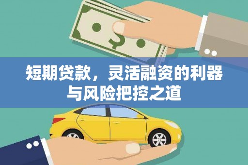日喀则短期贷款，灵活融资的利器与风险把控之道