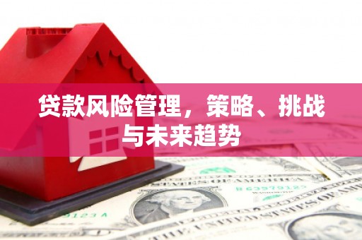 日喀则贷款风险管理，策略、挑战与未来趋势
