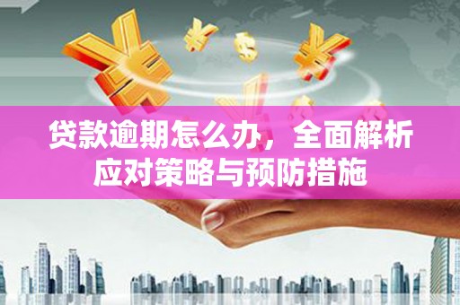 日喀则贷款逾期怎么办，全面解析应对策略与预防措施