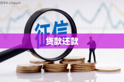 日喀则贷款还款