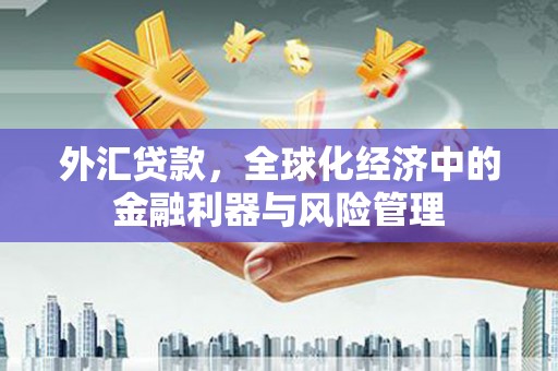 日喀则外汇贷款，全球化经济中的金融利器与风险管理