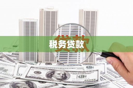 日喀则税务贷款