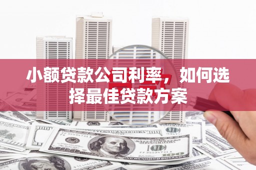 日喀则小额贷款公司利率，如何选择最佳贷款方案