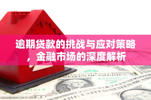 日喀则逾期贷款的挑战与应对策略，金融市场的深度解析