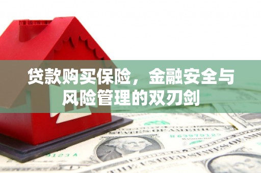 日喀则贷款购买保险，金融安全与风险管理的双刃剑