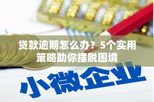 日喀则贷款逾期怎么办？5个实用策略助你摆脱困境