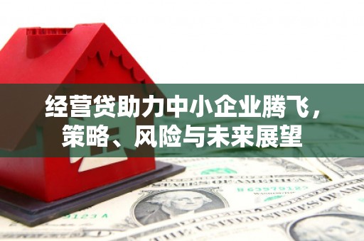 日喀则经营贷助力中小企业腾飞，策略、风险与未来展望