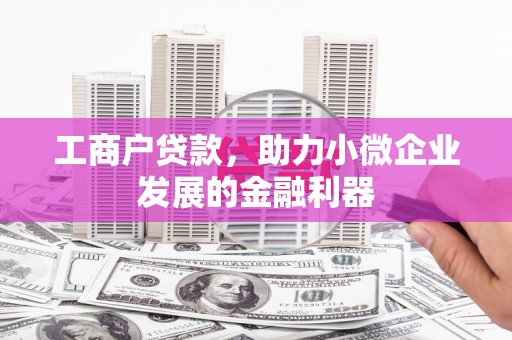 日喀则工商户贷款，助力小微企业发展的金融利器
