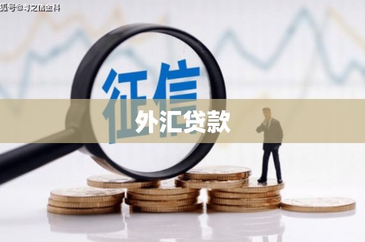 日喀则外汇贷款