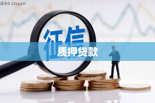 日喀则质押贷款