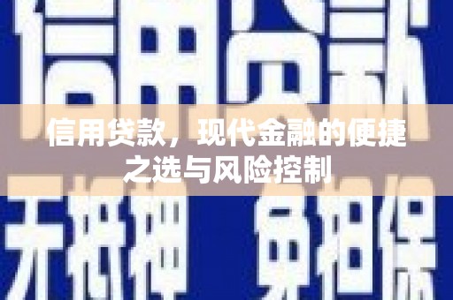 日喀则信用贷款，现代金融的便捷之选与风险控制