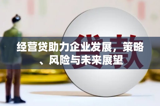 日喀则经营贷助力企业发展，策略、风险与未来展望