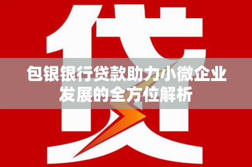 日喀则包银银行贷款助力小微企业发展的全方位解析 日喀则包银银行贷款助力小微企业发展的全方位解析