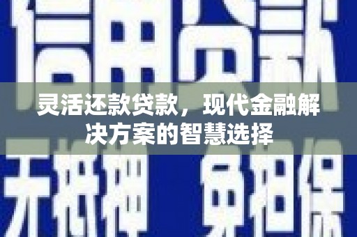 日喀则灵活还款贷款，现代金融解决方案的智慧选择