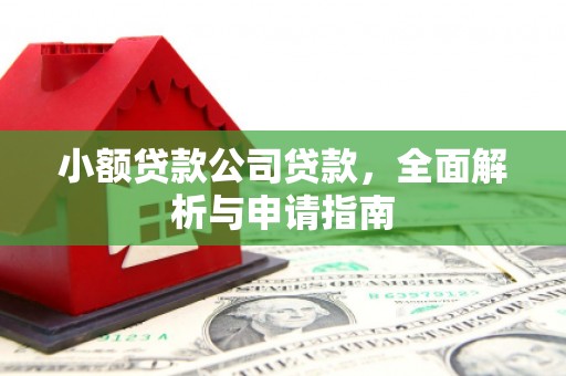 日喀则小额贷款公司贷款，全面解析与申请指南