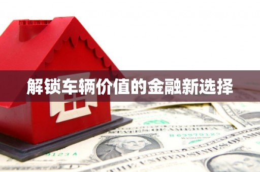 日喀则解锁车辆价值的金融新选择