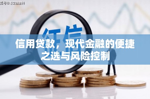 日喀则信用贷款，现代金融的便捷之选与风险控制