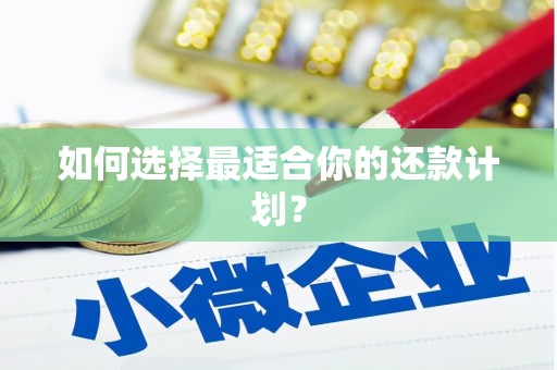 日喀则如何选择最适合你的还款计划？