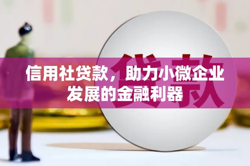 日喀则信用社贷款，助力小微企业发展的金融利器