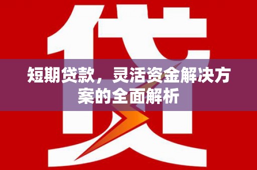 日喀则短期贷款，灵活资金解决方案的全面解析