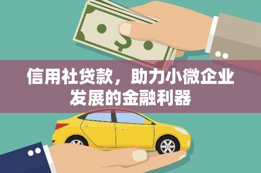 日喀则信用社贷款，助力小微企业发展的金融利器
