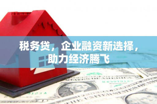 日喀则税务贷，企业融资新选择，助力经济腾飞
