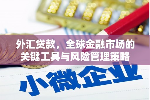日喀则外汇贷款，全球金融市场的关键工具与风险管理策略
