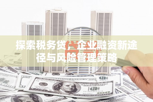 日喀则探索税务贷，企业融资新途径与风险管理策略